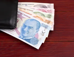 600 TL ödeme müjdesi! Hesap kartının son 6 hanesini iletmek yeterli! Az önce resmen başladı: Ziraat, Vakıfbank...