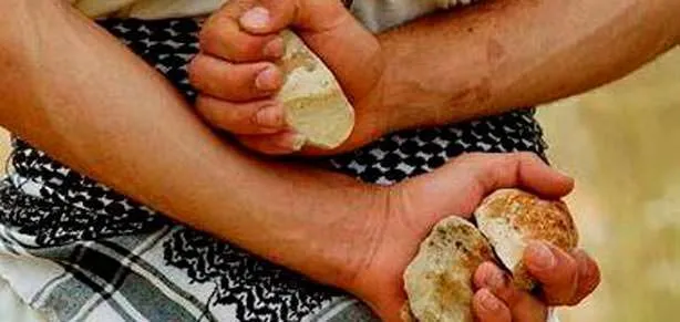 Taş atan çocuğa tedavi geliyor