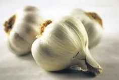 Kalp dostu sarımsak