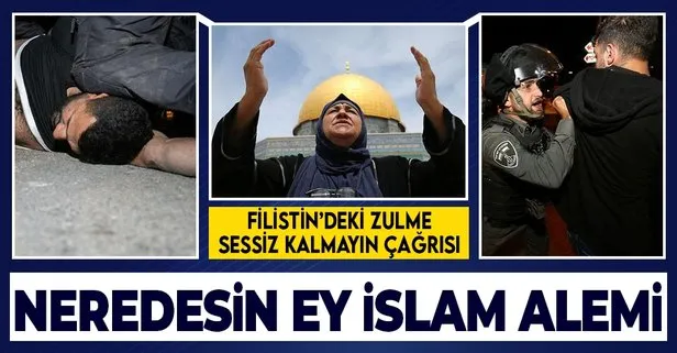 Neredesin ey İslam dünyası