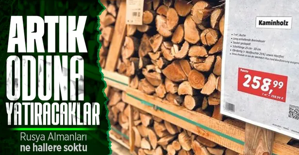 Almanya’da Rusya etkili enerji krizi büyüyor! Odun altından değerli oldu