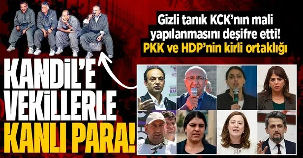 Gizli tanık terör örgütü PKK ile HDP’nin kanlı ortaklığını bir kez daha deşifre etti: Kandil’e kuryelik yapıyorlar