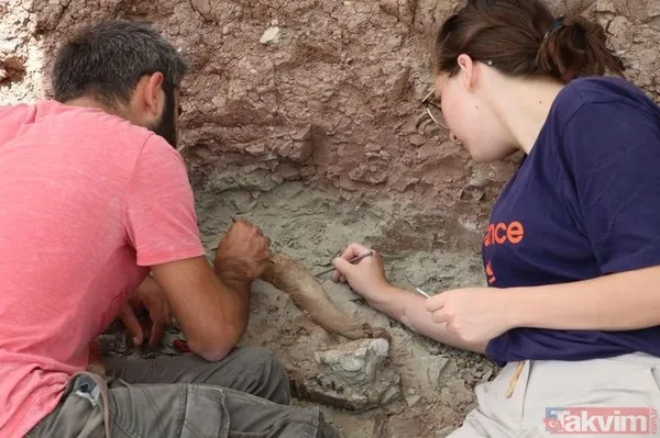 Çankırı'da 8,5 milyon yıllık fosil bulundu! - 16