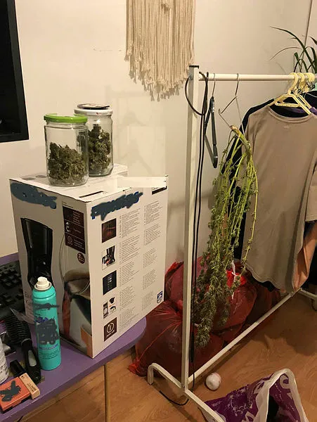 Eskişehir'de uyuşturucu operasyonu! Evde keneviri böyle yetiştirmişler-2