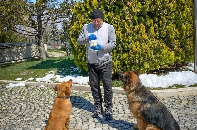 Son dakika: Dışişleri Bakanı Çavuşoğlu'ndan "Evde kal Türkiye" çağrısına destek