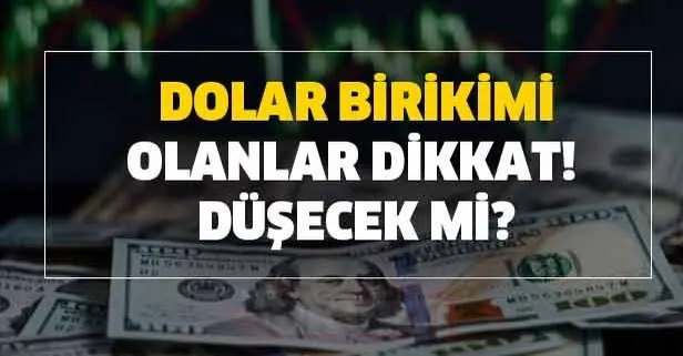 dolar dusecek mi artacak mi dolar ne