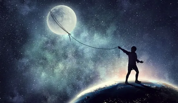 Rüyada tarantula görmek ne anlama gelir? Rüyada tarantula görmek neye işarettir? Rüyada tarantula görmenin anlamı, yorumu...-5