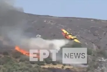 Yangın uçağı düştü! 2 pilot öldü