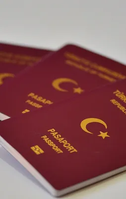 Ukrayna'ya kimlikle seyahat başlıyor