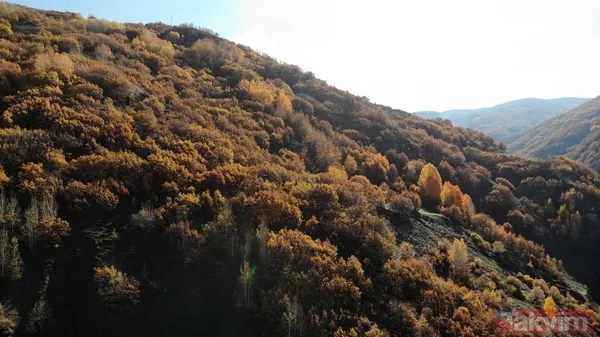 Muş'ta sonbaharın getirdiği renk cümbüşü harika görüntülere neden oldu - 15