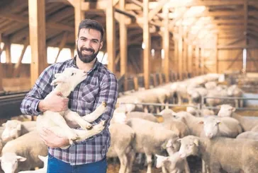 Zincir marketlerde kurbanlık kampanyaları başladı: İşte büyükbaş ve küçükbaş fiyat listesi