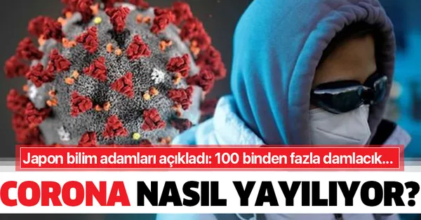 kovid 19 nasil yayiliyor japon bilim