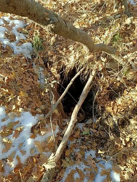 tuncelide-pkkli-teroristlerce-kullanildigi-tespit-edilen-14-siginak-imha-edildi-1606512396545.jpeg Tunceli'de PKK'lı teröristlerce kullanıldığı tespit edilen 14 sığınak imha edildi!-3