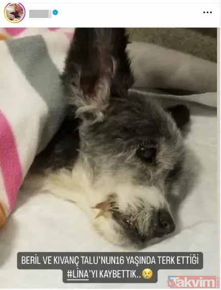 100 milyon TL'lik vurgun yapıp sırra kadem basan Kıvanç ve Beril Talu hakkında kan donduran iddia! Bir otelde ölüme terk ettiler - 7