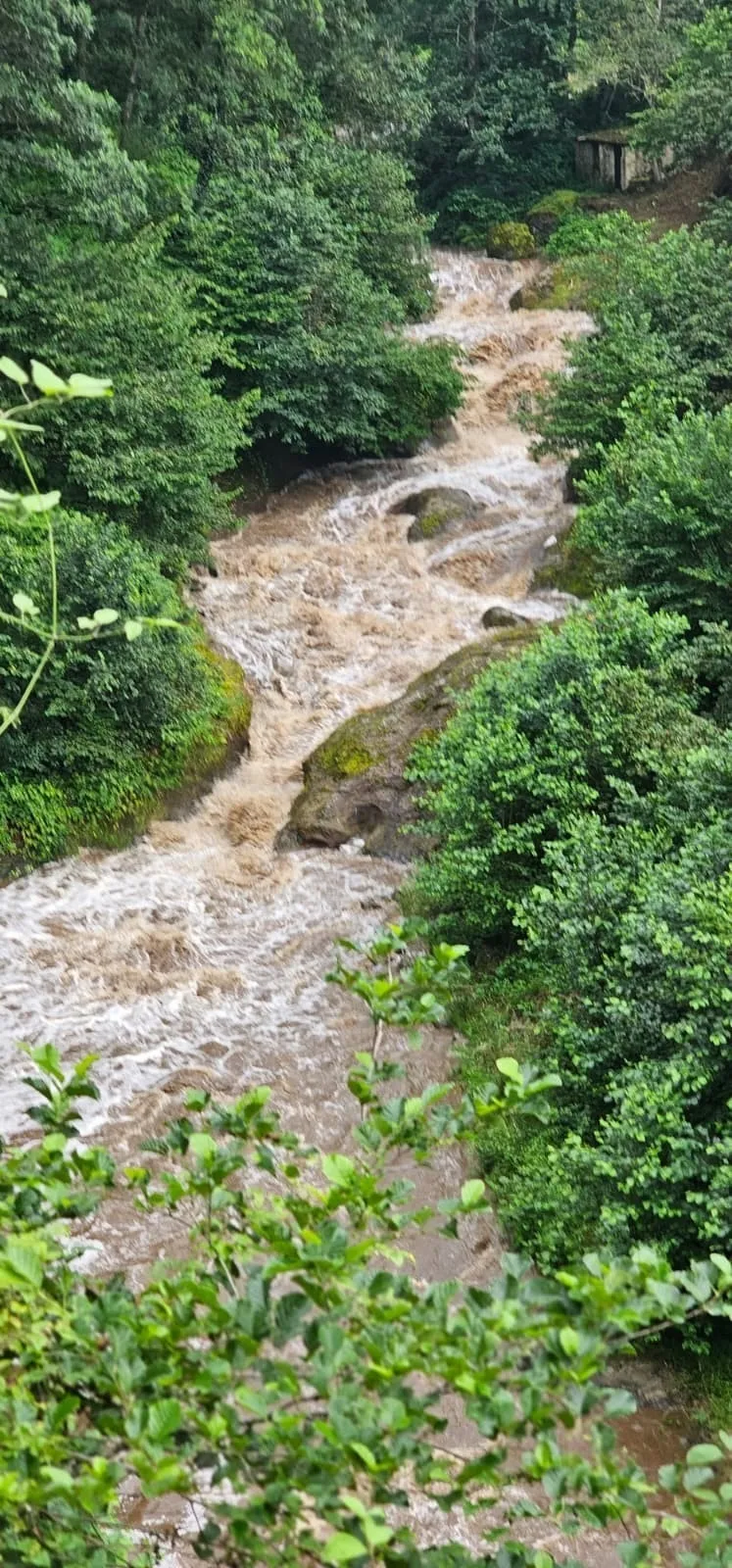 giresunda-sel-felaketi-anne-ile-2-kizi-icin-arama-baslatildi-1786543480974.jpeg AFAD ekipleri dere boyunca arama çalışmalarını sürdürüyor.