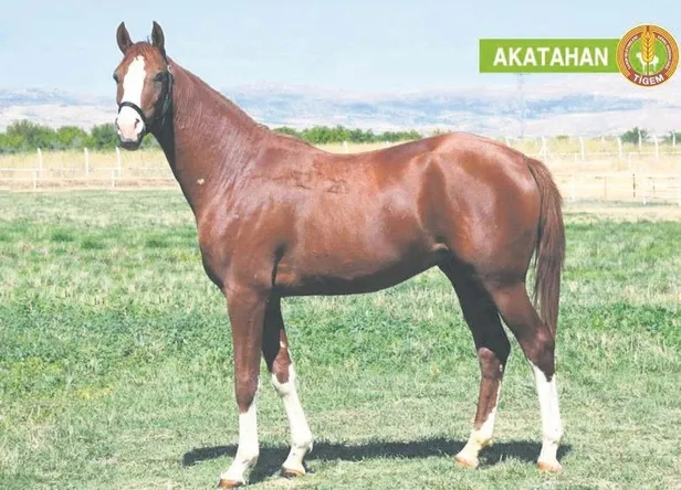 bursada-huzurevinde-kavga-eden-89-ve-94-yaslarindaki-iki-dede-birbirini-mahkemeye-verdi-yasam-haberleri-1665624570951.jpeg Bursa'da huzurevinde kavga eden 89 ve 94 yaşlarındaki iki dede birbirini mahkemeye verdi | Yaşam haberleri-2