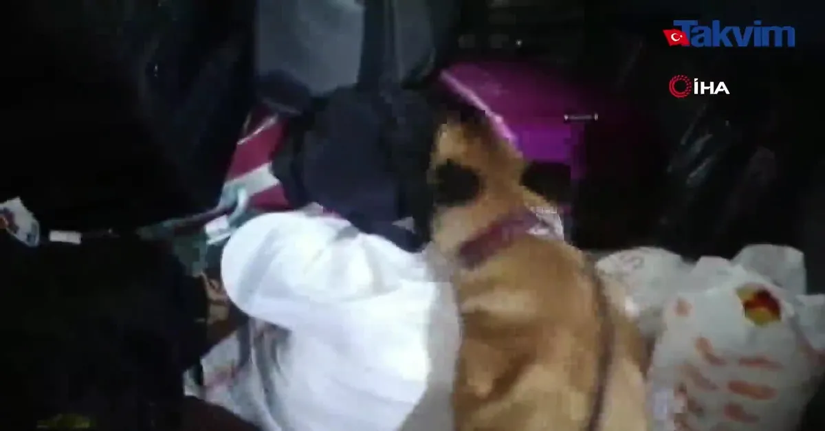 Sivas’ta 2 kilo toz esrar ele geçirildi