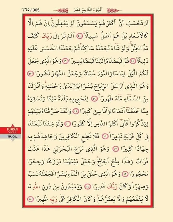 Furkan Suresi - Furkan Suresi 74. Ayet - Furkân Suresi Anlamı, Tefsiri, Türkçe ve Arapça Okunuşu - Furkân Suresi Dinle Oku-8