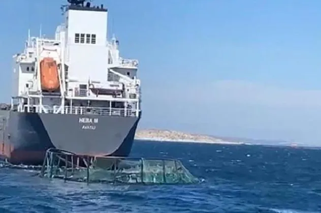 Muğla'da 20 milyonluk kaza! Kuru yük gemisi balık çiftliği havuzlarına çarptı