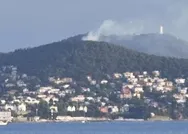 Son dakika: Büyükadada ormanlık alanda yangın!