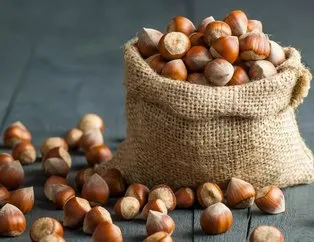 1 Mart 2021: Fındık fiyatları ne kadar oldu?