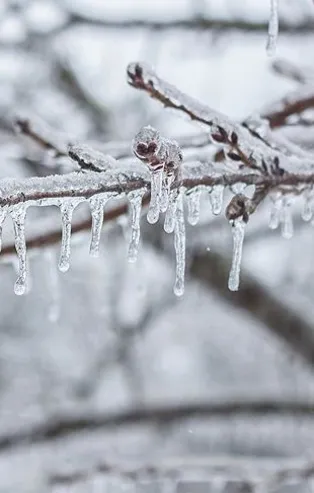 Son dakika: Meteoroloji'den 4 ile don uyarısı!