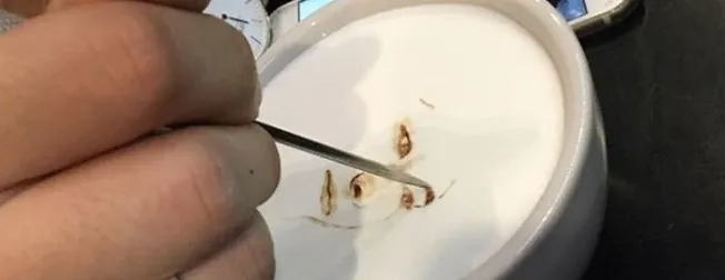 Bu kahveleri içmeye kıyamazsınız