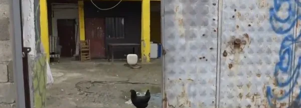 Balıkesir’de işkence çiftliği! Ejderha çetesi kadınlara tecavüz edip esnafı haraca bağlamış!-2