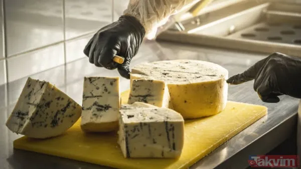 Dünyanın en iyi peynir üreten ülkeleri açıklandı: Türkiye listede kaçıncı sırada? - 14
