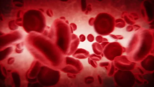 bu-kan-grubundakiler-celik-gibi-vucuda-sahip-en-sanssiz-kan-grubu-belli-oldu-bu-kisilerin-kanser-olma-riski-1700942133329.jpg Bu kan grubundakiler çelik gibi vücuda sahip! En şanssız kan grubu belli oldu! Bu kişilerin kanser olma riski...-4