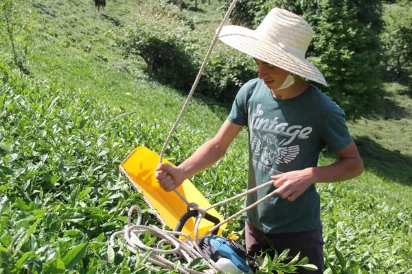 rizeli-genc-cay-motorunu-teleferige-baglayarak-agirligindan-kurtuldu-1622800502118.jpg Rizeli genç çay motorunu teleferiğe bağlayarak ağırlığından kurtuldu-3