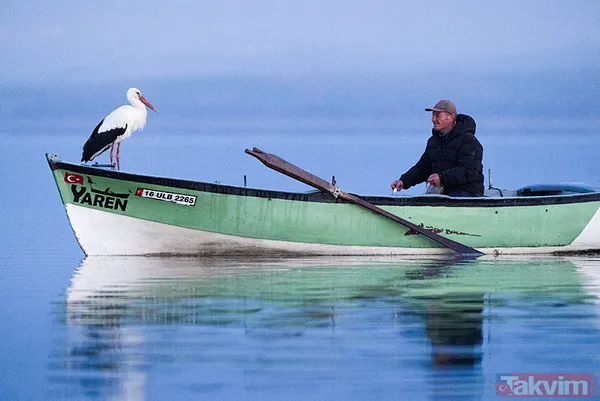 Yaren Leylek geldi: 14 yıl oldu! Yine Adem Yılmaz'ın kayığına kondu - 3