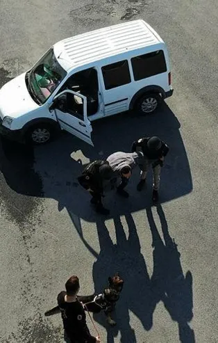 İstanbul Emniyeti'nde görev alan kangal ve akbaş cinsi köpeklerin zorlu eğitimi görüntülendi