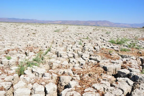 tarim-ve-orman-bakanligi-tamamen-kuruyan-marmara-golunun-kurtarilmasi-icin-calisma-baslatti-1651823245551.jpg Tarım ve Orman Bakanlığı tamamen kuruyan Marmara Gölü'nün kurtarılması için çalışma başlattı-3