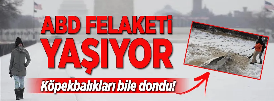 ABD felaketi yaşıyor