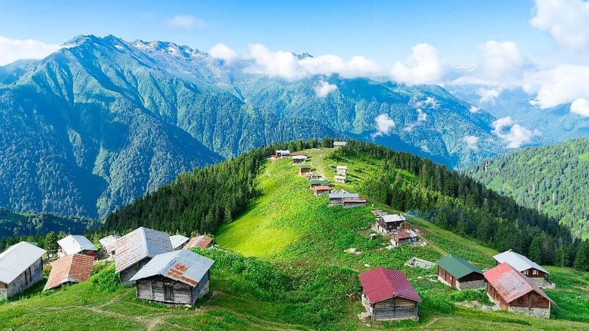 1786396975933.jpeg Yayla