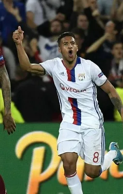 Kartal turu İstanbul'a bıraktı