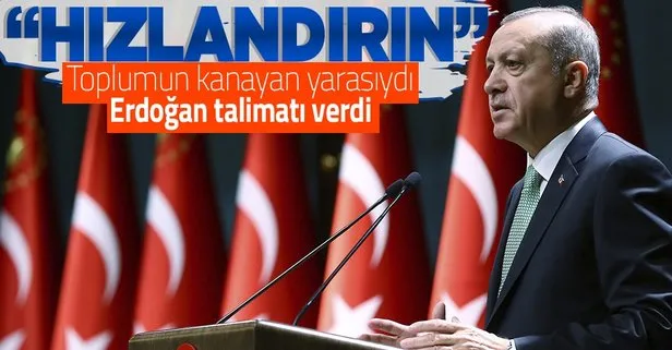 Son dakika: Başkan Erdoğan’dan ’Hayvan Hakları Yasası’ çalışmalarında süreci hızlandırın talimatı