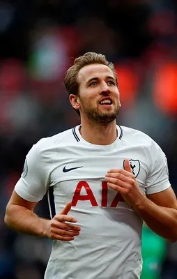 2017'nin en golcüsü Harry Kane