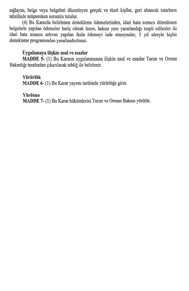 resmi-gazetede-yayimlandi-balon-baligi-avlayana-5-tl-1620078715374.jpg
