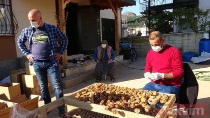 Adana Kozan’da çamaşır ipinde hurma kurutan girişimci kendisinin ve komşularının hayatını değiştirdi