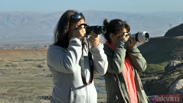 Muş'ta sonbaharın getirdiği renk cümbüşü harika görüntülere neden oldu - 8