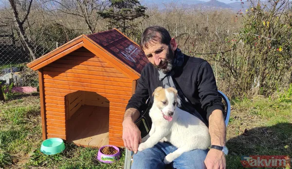 Duygulandıran görüntü! Pompalı tüfekle öldürülen köpeğin 7 yavrusu başından ayrılmadı - 14