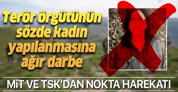 Son dakika: MİT ve TSK’dan ortak operasyon! PKK’nın sözde yöneticisi Halide Tarı etkisiz hale getirildi