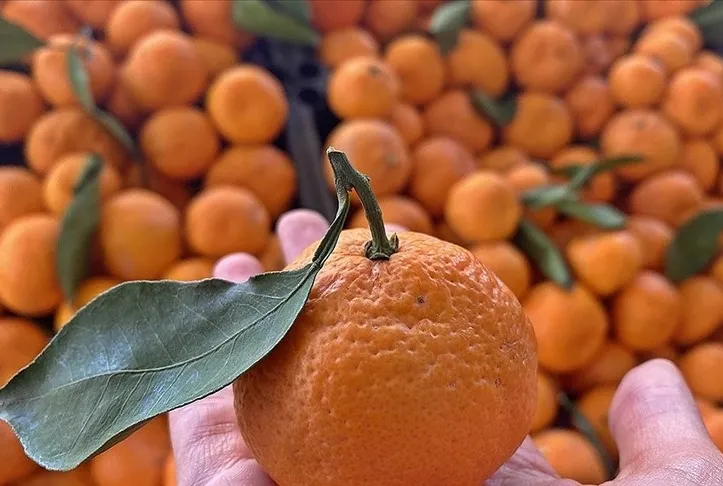 Kemiklere mandalina