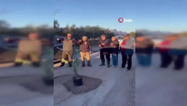 Antalyalı vatandaşlardan yoldaki çukurlara saksılı eylem