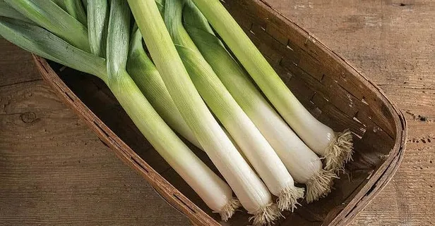 Prostatın çaresi pırasa