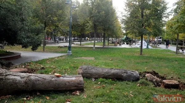 CHP'li İBB'den Gezi Parkı ve Gülhane'de doğa katliamı! Asırlık ağaçları köklerinden kestiler: Memleketi yangın yeri yapanların gerçek yüzü - 15