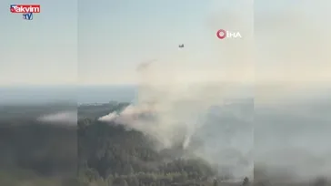 Antalya Manavgat'ta orman yangını