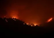 Son dakika: Adanadaki orman yangınına havadan müdahale tekrar başladı